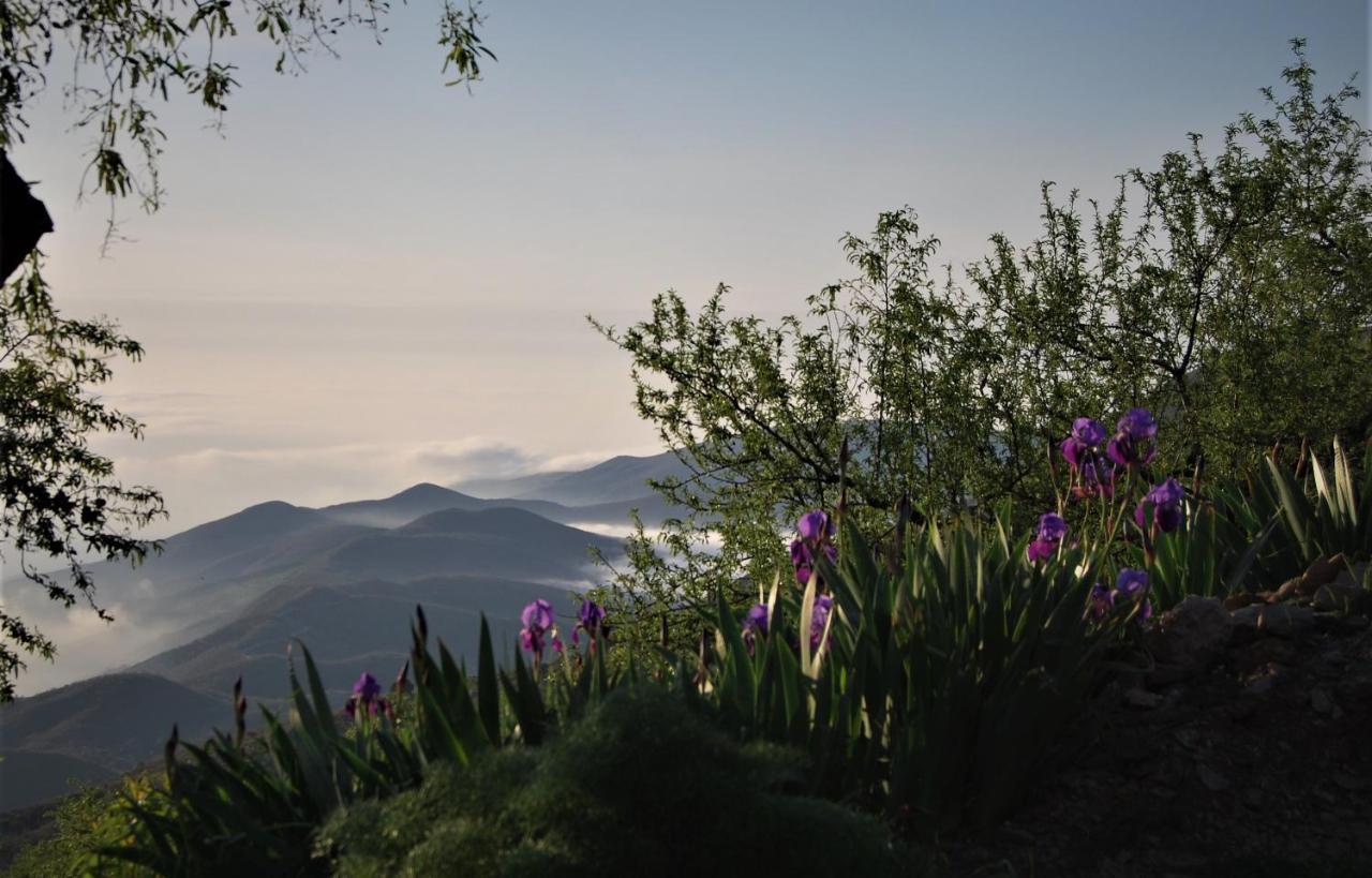 Cortijo Los Maximos Turon Exterior foto