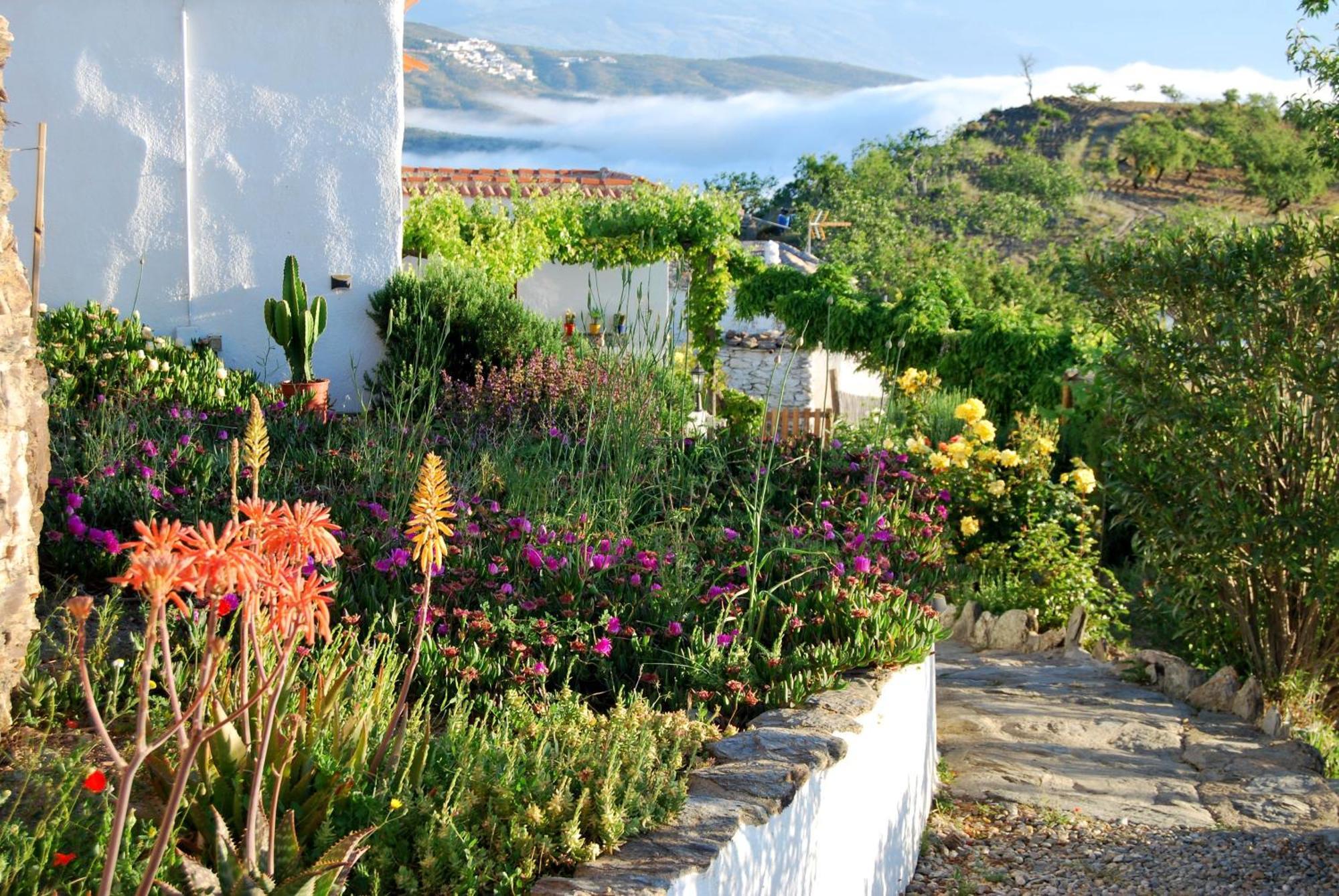 Cortijo Los Maximos Turon Exterior foto