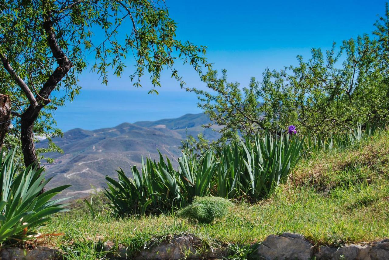 Cortijo Los Maximos Turon Exterior foto